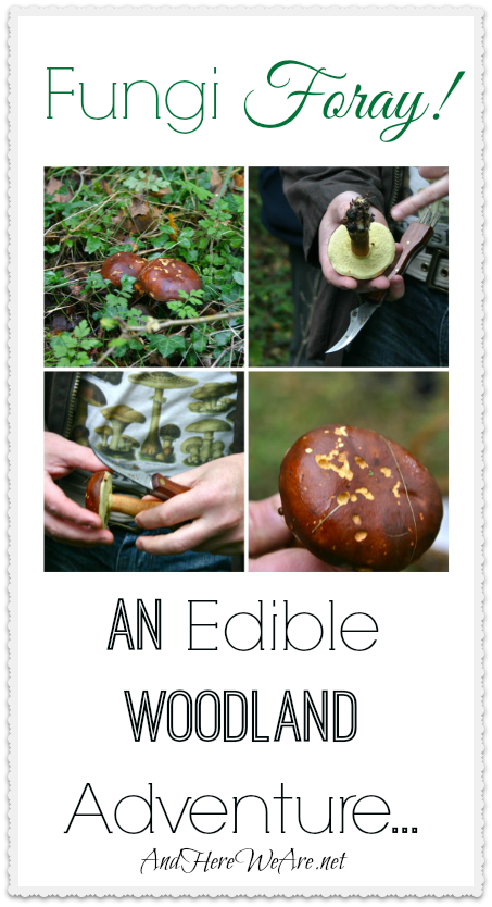 Fungi Foray! And Edible Woodland Adventure...