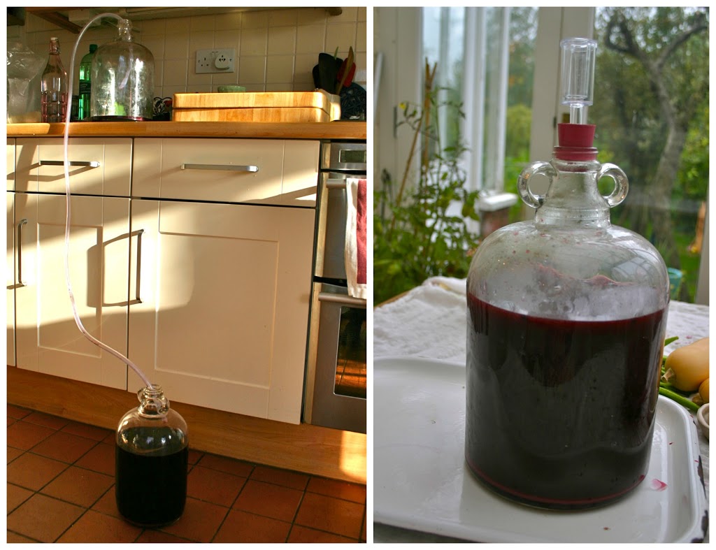 Making Elderberry Wine 