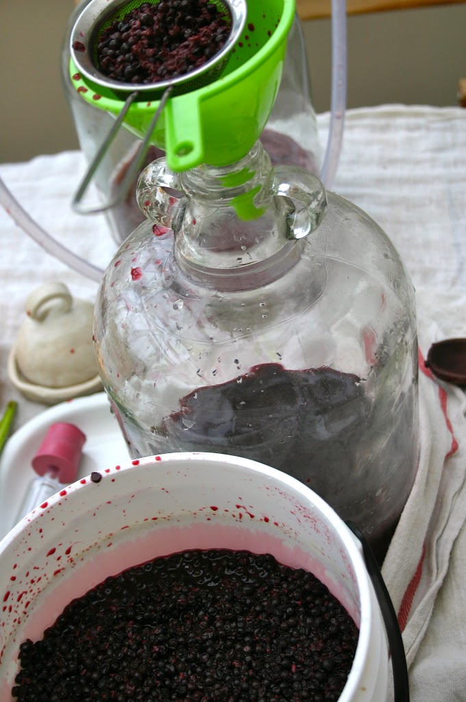 Making Elderberry Wine 
