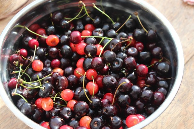 What to Do With a Bounty of Cherries (Even the Pits!)
