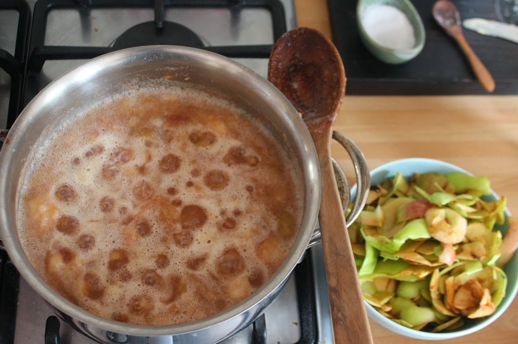 Apple Peel Cider