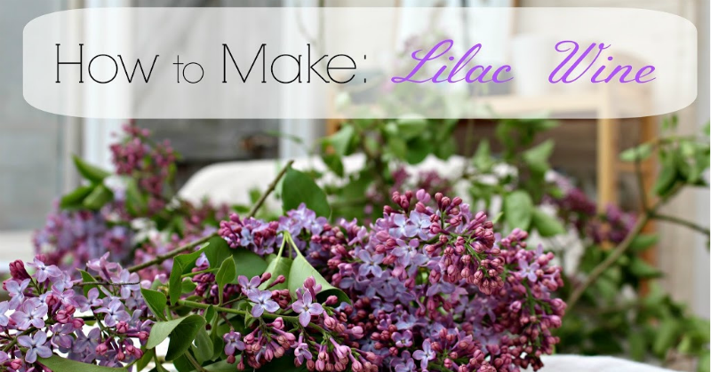 Lilac-Wine