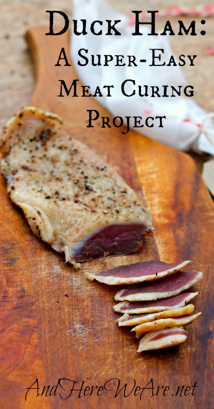 Duck Ham A Super-Easy Meat Curing Project from And Here We Are