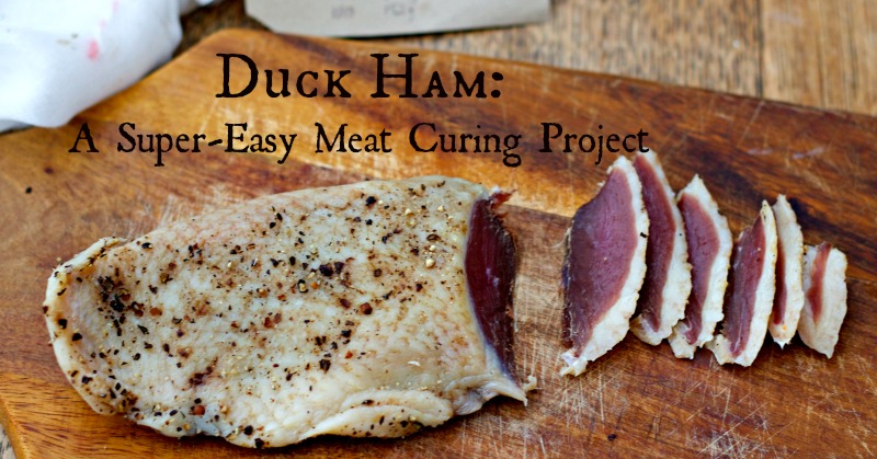 Duck Ham Super Easy Meat Curing Project