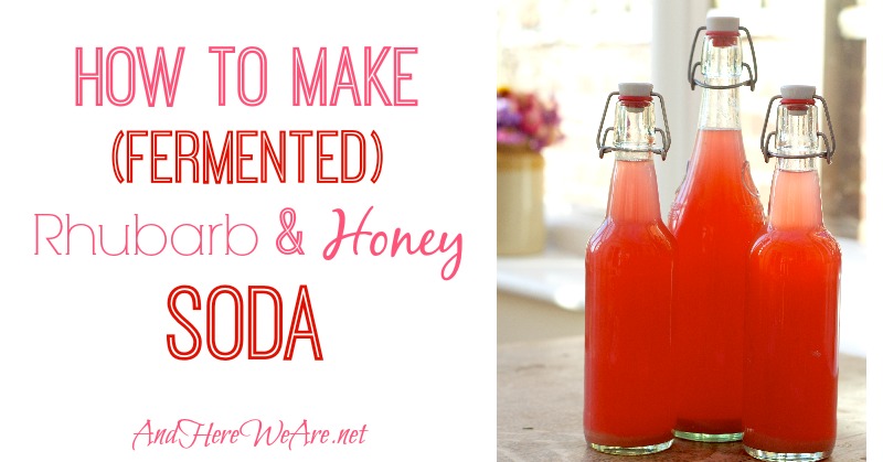 How to Make Fermented Rhubarb & Honey Soda