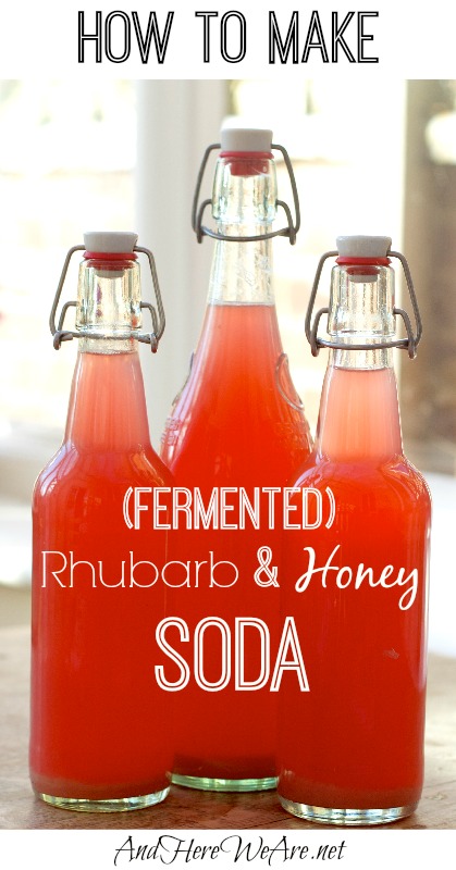 How to Make Rhubarb & Honey Soda