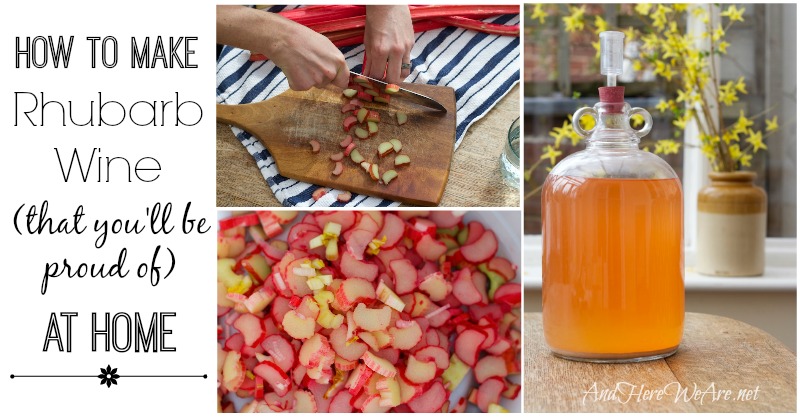 How to Make Rhubarb Wine