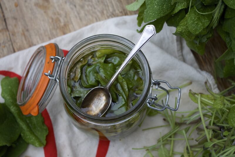 Simple Medicine: Sage and Honey Cough Syrup