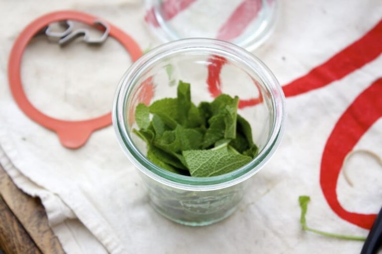 What to Do With Sage (Especially when you have too much!)