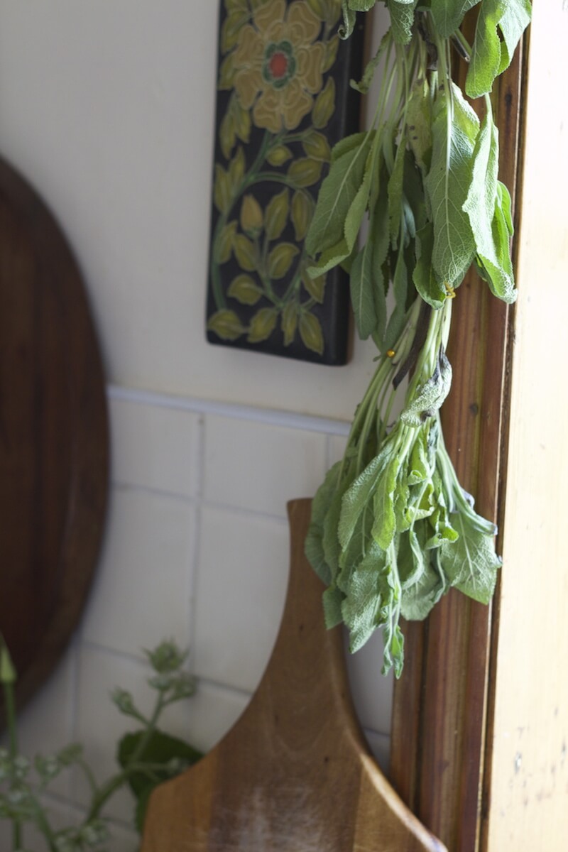 What to Do With Sage (Especially when you have too much!)
