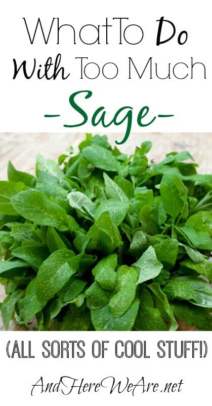 What To Do With Sage And Here We Are...
