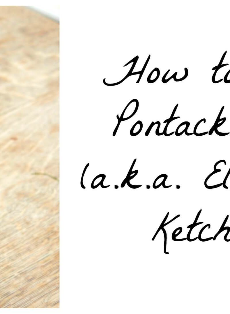 Making Pontack Sauce (Elderberry Ketchup)