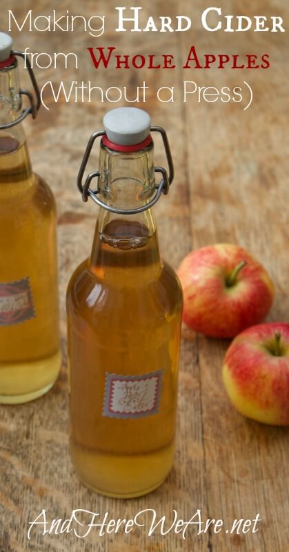 Making Hard Cider from Whole Apples, Without a Press And Here We Are...