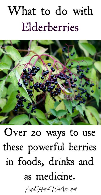 What to do with elderberries And Here We Are...