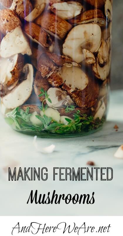 Making Fermented Mushrooms