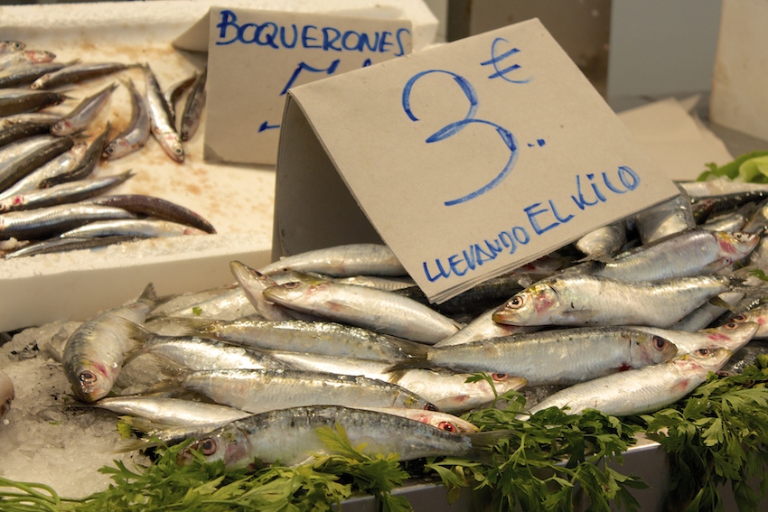Fresh Sardines at the Cadiz Market