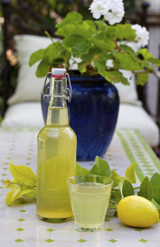 Homemeade Lemon Leaf Soda Recipe