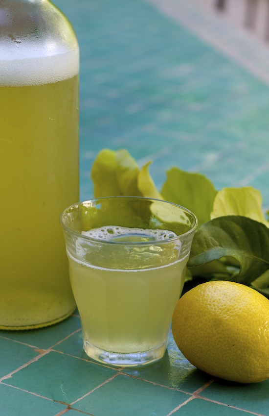 lemon leaf soda from And Here We Are