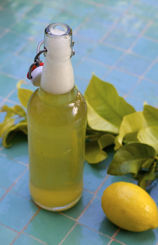 How to Make Lemon Leaf Soda (Bonus: It’s a Probiotic!)